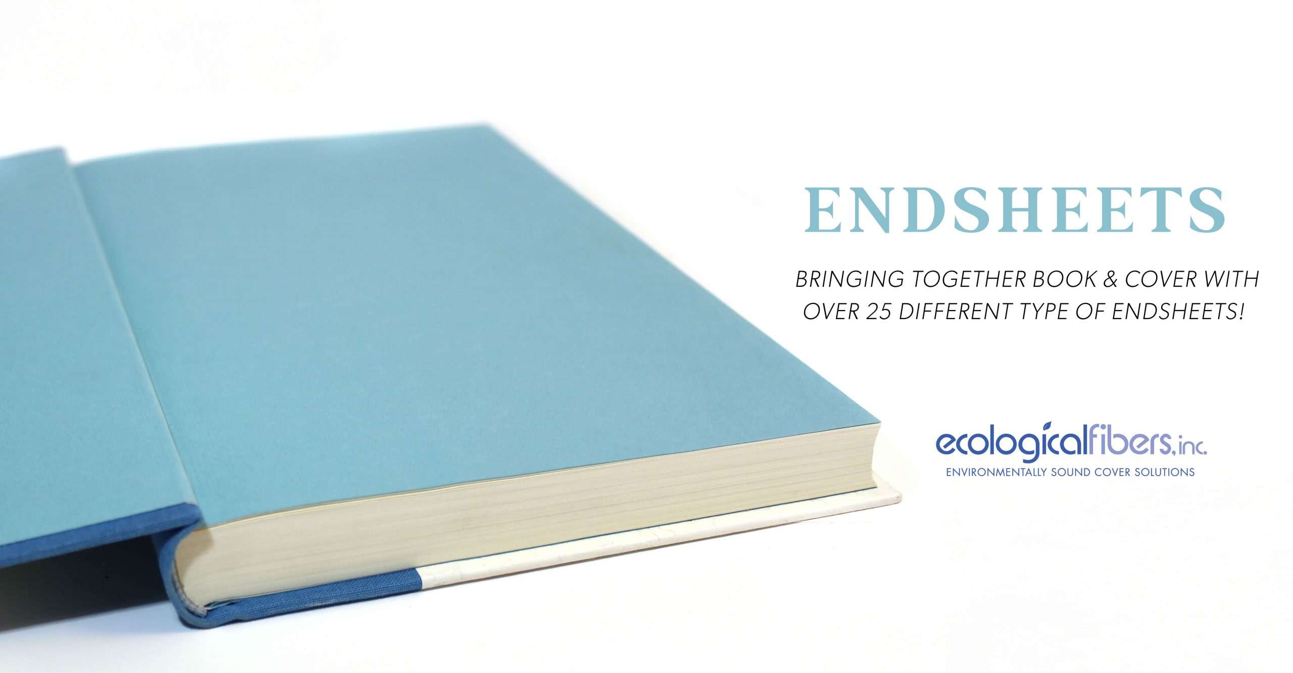 _Blue-Endleaf-Header